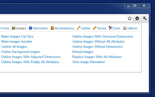 Web Developer Web Developer